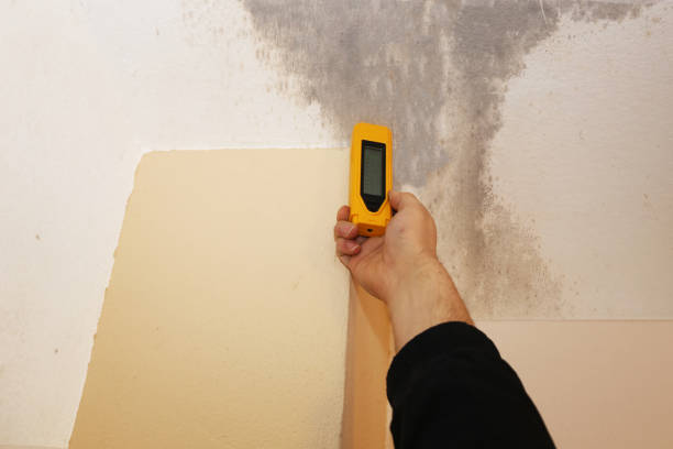 Best Emergency Mold Remediation  in Inkerman, PA