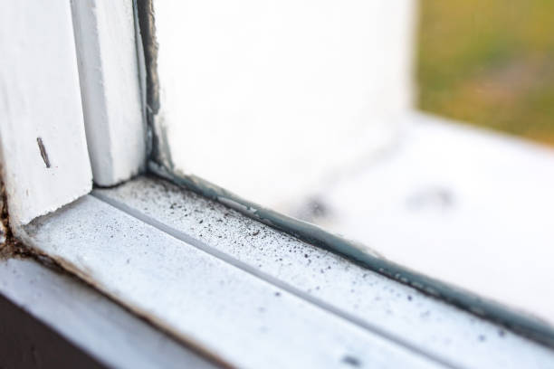 Best Mold Remediation for Healthcare Facilities  in Inkerman, PA
